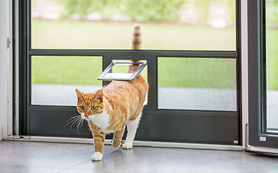 Insektenschutz Tür mit Katzenklappe